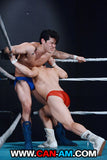 HOLLYWOOD EROTIC PRO WRESTLING 2
