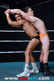 HOLLYWOOD EROTIC PRO WRESTLING 3