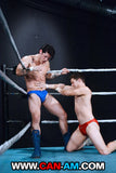 HOLLYWOOD EROTIC PRO WRESTLING 2