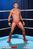 HOLLYWOOD EROTIC PRO WRESTLING 4