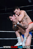 HOLLYWOOD EROTIC PRO WRESTLING 2