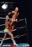 HOLLYWOOD EROTIC PRO WRESTLING 4