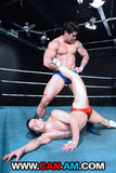 HOLLYWOOD EROTIC PRO WRESTLING 2