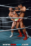 HOLLYWOOD EROTIC PRO WRESTLING 4
