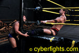 CHEAP SHOTS & LOW BLOWS 5