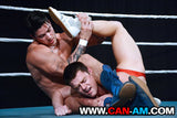 HOLLYWOOD EROTIC PRO WRESTLING 2