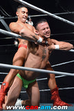 HOLLYWOOD EROTIC PRO WRESTLING 4