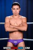 HOLLYWOOD EROTIC PRO WRESTLING 1
