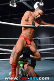 HOLLYWOOD EROTIC PRO WRESTLING 4