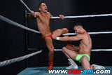HOLLYWOOD EROTIC PRO WRESTLING 4