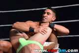 HOLLYWOOD EROTIC PRO WRESTLING 4
