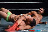 HOLLYWOOD EROTIC PRO WRESTLING 4