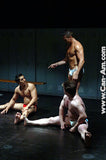 2 ON 1 TORMENTED TRIO 2 DVD