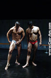 2 ON 1 TORMENTED TRIO 2 DVD