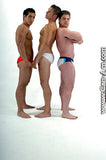 2 ON 1 TORMENTED TRIO 2 DVD