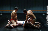 2 ON 1 TORMENTED TRIO 2 DVD