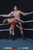 HOLLYWOOD EROTIC PRO WRESTLING 5