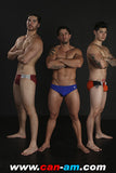 3-WAY MUSCLE FIGHT