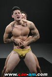 3-WAY MUSCLE FIGHT