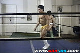 LATINO WRESTLING 3 DVD