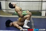 LATINO WRESTLING 3 DVD