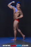 EROTIC MAT WRESTLING 5