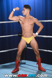 HOLLYWOOD EROTIC PRO WRESTLING 6