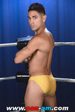 HOLLYWOOD EROTIC PRO WRESTLING 6