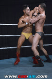 HOLLYWOOD EROTIC PRO WRESTLING 6