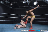 HOLLYWOOD EROTIC PRO WRESTLING 6