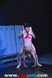 SEXY MAT FIGHT 1