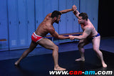 Erotic Mat Wrestling 8 DVD