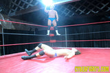 Body Chopped and Sleepered 5 DVD
