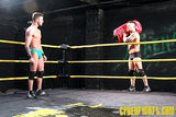 Cheap Shots & Low Blows 7