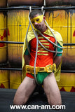 Wrecked Robin