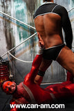 Dominated And Destroyed