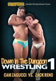 DOWN IN THE DUNGEON 1 DVD