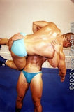 CANADIAN MUSCLEHUNK WRESTLING 12 DVD