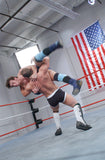 CYBERFIGHTS 132: ROUGHED UP