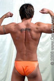 FIGHTING BRODY - DVD