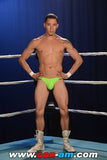HOLLYWOOD EROTIC PRO WRESTLING 7