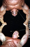 MUSCLE MATCHES 1 & 2 DVD