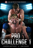 Pro Challenge 1