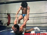 YOUNG MUSCLESTUD WRESTLING 5 DVD