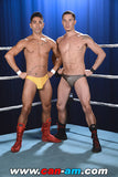 HOLLYWOOD EROTIC PRO WRESTLING 6