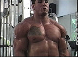 MEGA MUSCLE BODY WORSHIP 1 DVD